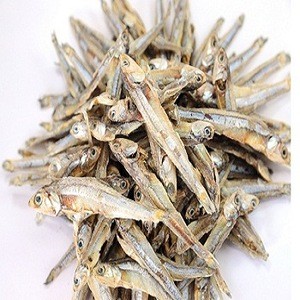 Best Quality and clean Dried Anchovi Dried Fish