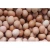 Import Quality Fresh Brown & White Eggs in Best Price from South Africa