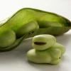 Broad Beans high quality dry raw fresh frozen Broad Bean fava bean green iqf whole raw frozen split broad beans vicia