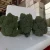Import broccoli for sale from Egypt