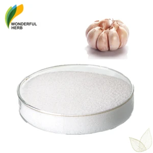 Bulk allicin herbal extract supplement pure organic garlic powder price