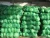 Import bulk best price specification of fresh Chinese cabbage from China