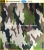 camouflage polyester spandex Customized neoprene sheet Camo neoprene fabric
