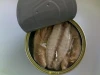 canned jack mackerel fish in olive oil