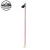 Import Carbon Steel NORDIC Skiing Poles from China