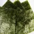 Import Certified Top Factory Roasted Sushi Nori Gold Halal Seaweed/sushi Nori from China