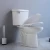 Import Chaozhou Sanitary Ware Toilet Factory High Quality Competitive Price Two Piece Toilet For Bathroom Hotel Project from China