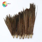 Cheap natural long ringneck pheasant feathers for fedora hats