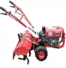 Cheap Powerful New Model Popular Chinese Mini Diesel Powered Tiller in china