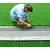 Import cheap Professional supplier of artificial grass production line manufacturer in China from China