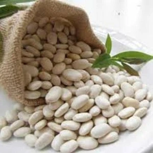 Cheap White Kidney Beans For sale