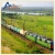 Import China cheap price train freight service to Bangladesh from China