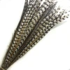 China factory price natural pheasant tail feathers for carnival costumes