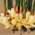 Import China Supply Fresh Round Yellow Cleaning Process Ginger For Sale from China