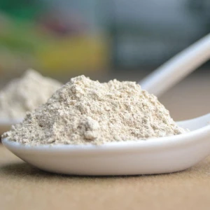 chinese dehydrated garlic powder