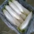 Import Chinese white fresh radish from China