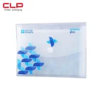CLP Cholyn 2020 Amazon Hot Selling Custom Office Expanding Document PP Plastic File Folder