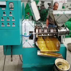 Cold &amp; Hot Pressing Machine sesame oil vacuum filter cold press oil seed machine