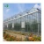 Import Commercial Smart Modern Agricultural Glass Greenhouse with  Hydroponics System from China