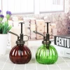 Creative garden pumpkin glass custom watering can / decorative watering can for flower glass sprinkler