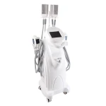 cryolipolysis machine/cryotherapy machine/body slimming machine price