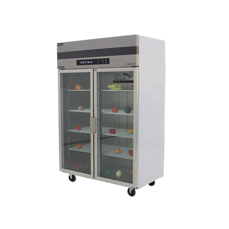 custom Soda vegetables Refrigeration Equipment Commercial kitchen ice cream refrigerator deep freezer chiller