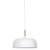 Import DECORATIVE PENDANT LAMP / PENDANT LIGHT / CEILING LAMP from USA