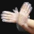 Import Disposable household plastic PE glove CPE/TPE/HDPE glove from China