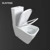 Double Flushing Luxury Ceramic Sanitary Toilet Commode Smart Toilet