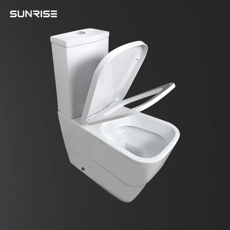 Double Flushing Luxury Ceramic Sanitary Toilet Commode Smart Toilet