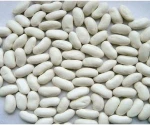 Dried Price of White Kidney Beans, White Beans