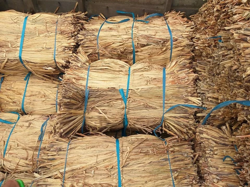 Dried water hyacinth/ Water Hyacinth Basket/Dried Palm Leaves