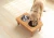 Import Durable Nursing Foldable Outdoor Cat Slow Milk Pet Dog Feeder Bowl Water Feeder from China