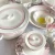 Import European Style 61 pcs  Porcelain Tableware for Wedding  White Decal Ceramic Plates Dishes Dinnerware Sets  Bone China from China