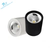 Factory Price BIS Approved Indoor Lighting Energy Saving Recessed 25w Led Downlight