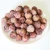 Import Factory Price Export Quality IQF Fruit Fresh Frozen Lychee lichee Whole from China