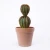 Import Faux Cactus Pot Looking Plastic in Pp Articial Cactus Medium Natural Plant Tropical Wedding Office New Year from China
