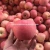 Import Fresh chinese bulk red delicious apple from China