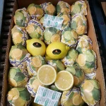Fresh Citrus Fruits /Yellow Lemon & Green Lime, yellow Eureka fresh
