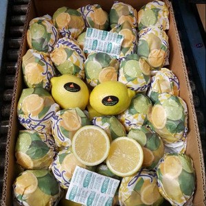 Fresh Citrus Fruits /Yellow Lemon &amp; Green Lime, yellow Eureka fresh
