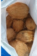 FRESH COCONUT/HIGH QUALITY
