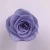 Import Fresh Cut Flowers Rose Varieties Flowers Preserved Roses Grade A from China