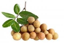 Fresh Longan High Quality Product from Thailand