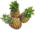 Import Fresh Pineapple (sweet and golden) from South Africa