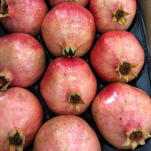 Fresh Pomegranates Supplier