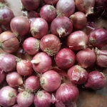 fresh red onion,raw yellow onion