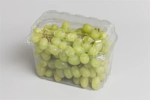 Frozen and Fresh  Seedless Grapes from  South African