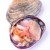 Import Frozen new products Shellfish purple washington clam from China