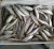 Import Frozen seafood mix king fish horse mackerel salmon tilapia milkfish from China