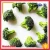 Import Frozen Vegetables Brands Organic Iqf Broccoli from China